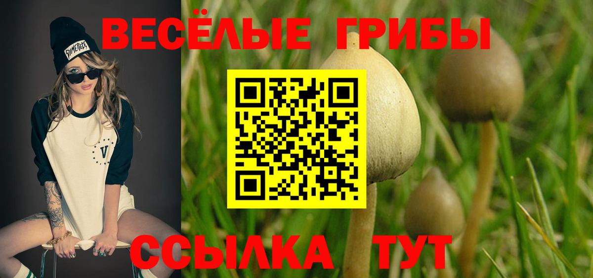 Галлюциногенные грибы ЛСД  Вход с VPN  Ульяновск  Галлюциногенные грибы ЛСД 